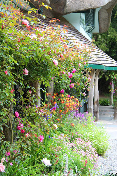 Flowering plants at Swiss Cottage. Cahir, Ireland.
