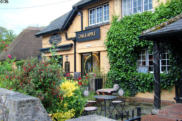 Oak & Apple establishment with garden. Adare, Ireland.