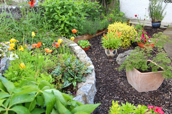 Garden in front of cottage. Adare, Ireland.