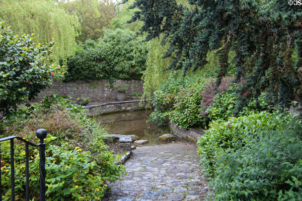 Washing pool where women traditionally washed family clothes in times past. Adare, Ireland.