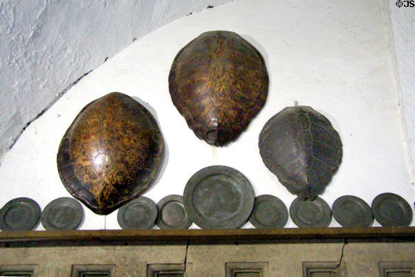 Turtle shells used as serving dishes hanging in kitchen at Bunratty Castle. County Clare, Ireland.