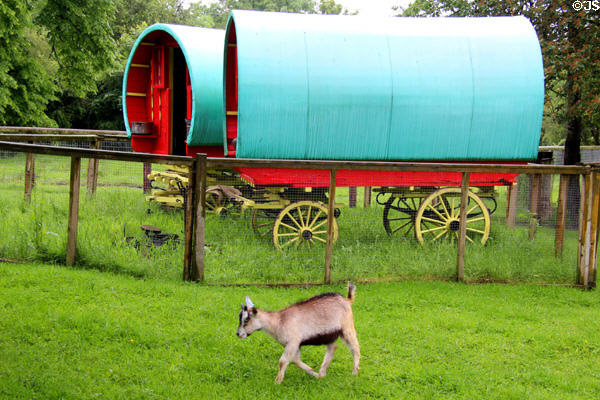 Horse drawn wagons used by the group known as Travellers at Bunratty Castle & Folk Park. County Clare, Ireland.