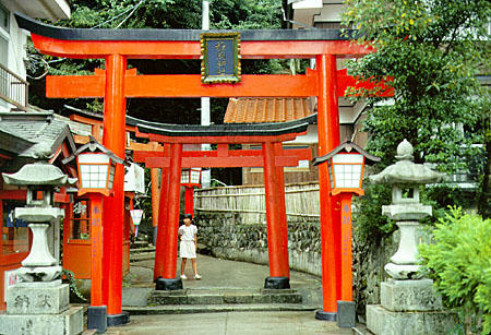Toriis lead the way into a temple in Tsuwano. Japan.