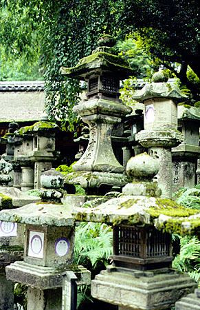 Stone lanterns line the streets of Nara. Japan.