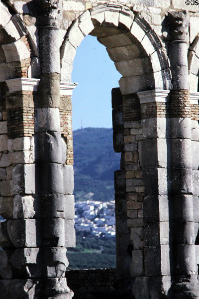 Detail of Roman stone arch at Volubilis. Morocco.
