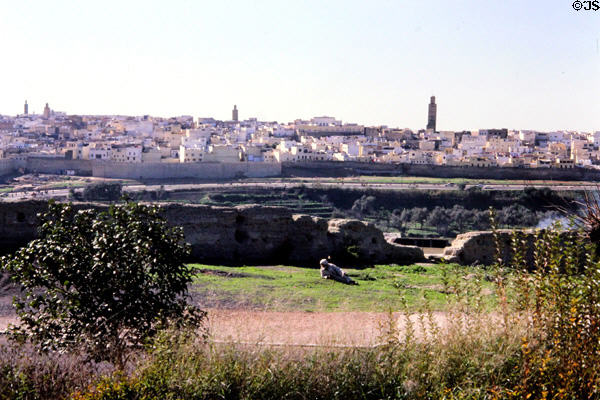 Overview of medina of Meknes. Morocco.