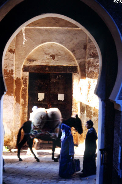 Street scene with donkey under arches. Fes, Morocco.