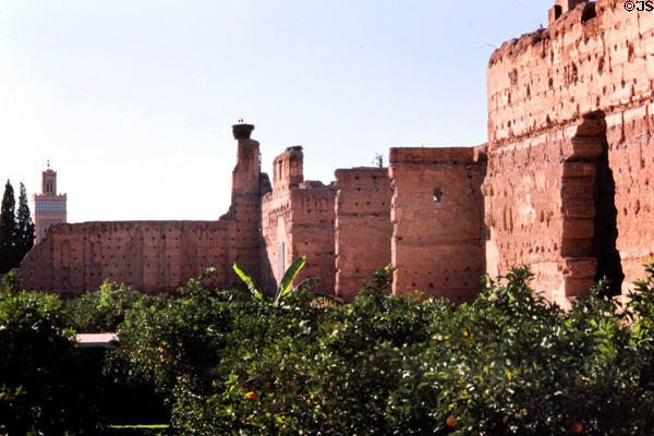 Storks nesting on ruins of Badi Palace (c1600). Marrakesh, Morocco.