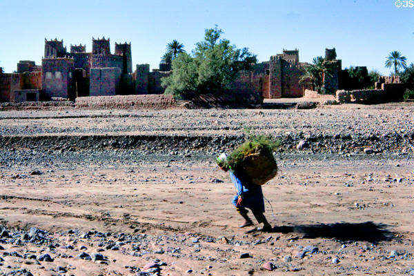 Kasbah of Skoura. Morocco.