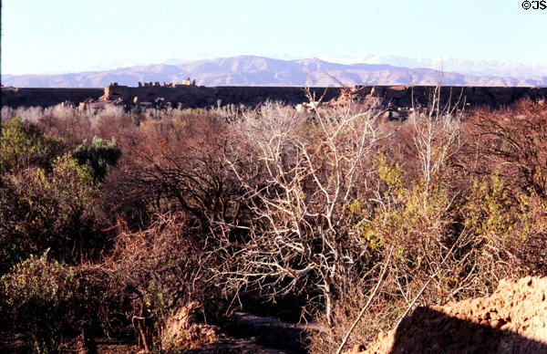 El Kélàa des M'gouna landscape. Morocco.