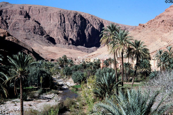 Oasis in Gorge du Todra. Morocco.