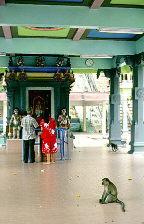 Batu caves in Kuala Lumpur. Malaysia.
