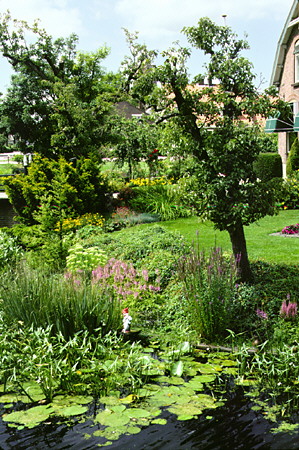 Garden by canal in Westbroek. Westbroek, Netherlands.
