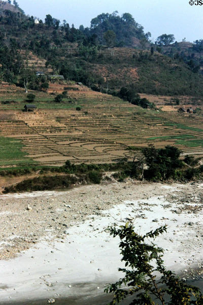 Terraced fields on road to Katmandu. Nepal.