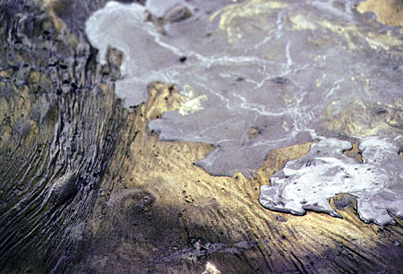 Tar formations on Pitch Lake. Trinidad and Tobago.