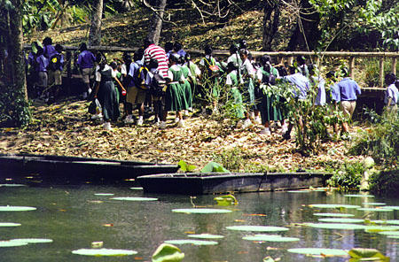 Students on an outing at Pointe-a-Pierre. Trinidad and Tobago.
