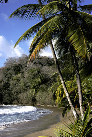 Beach at Arnos Vale Resort on Tobago. Trinidad and Tobago.