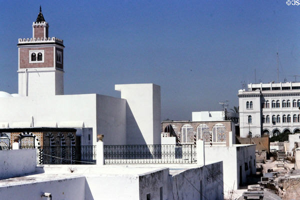 View of Tunis Medina. Tunis, Tunisia.