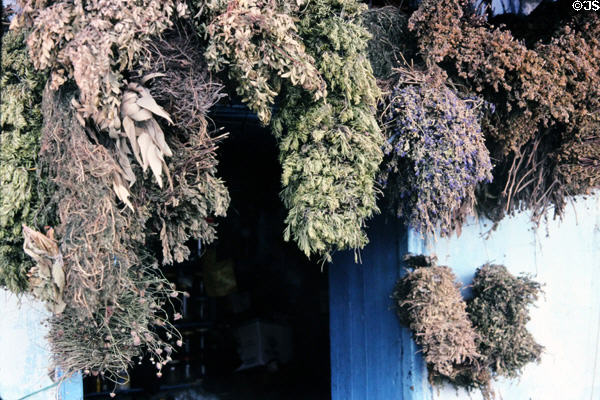 Herbs hung to dry in Medina. Tunis, Tunisia.