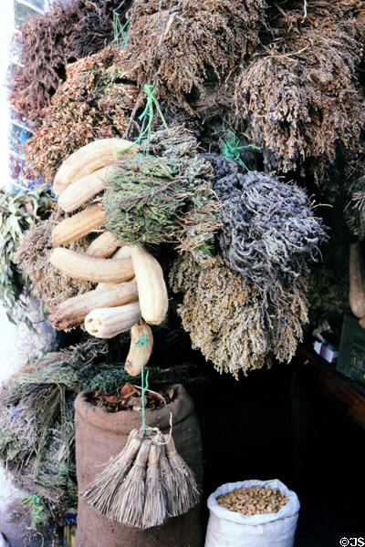 Herbs & sponges hung to dry in Medina. Tunis, Tunisia.