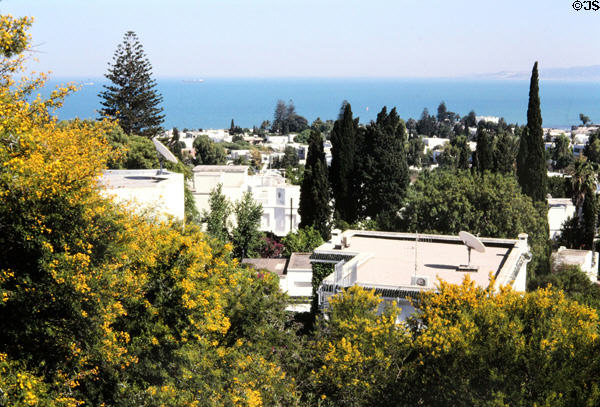 Houses in Carthage over Gulf of Tunis. Tunis, Tunisia.