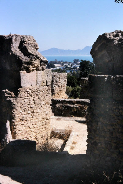 Ruins of Carthage on grounds of Carthage Museum. Tunis, Tunisia.