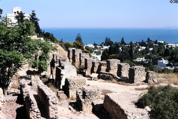 Ruins of Carthage on grounds of Carthage Museum. Tunis, Tunisia.