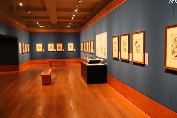 Art display for special exhibits at Queens Gallery. Edinburgh, Scotland.