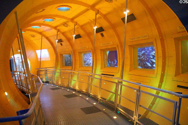 Passageway portals illustrate earth's various types of sea at Our Dynamic Earth. Edinburgh, Scotland.