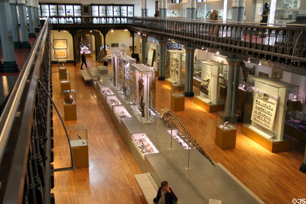 Gallery with natural history collection at Hunterian Museum. Glasgow, Scotland.