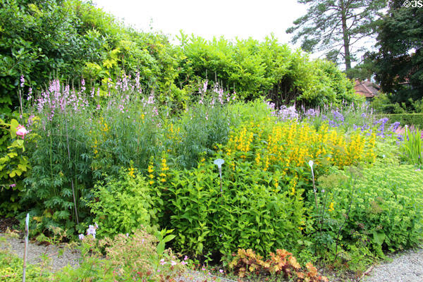 Garden at Hill House. Helensburgh, Scotland.