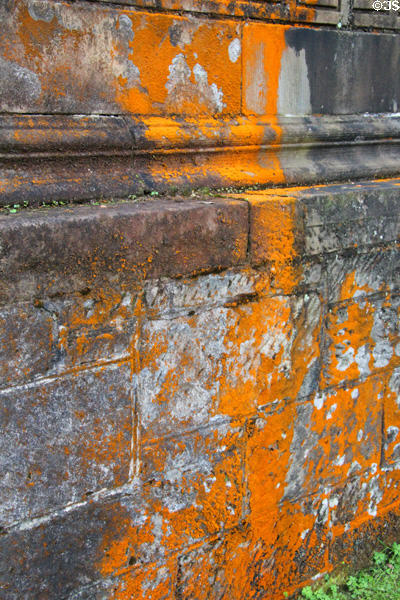 Lichens on stone wall at Holmwood. Glasgow, Scotland.