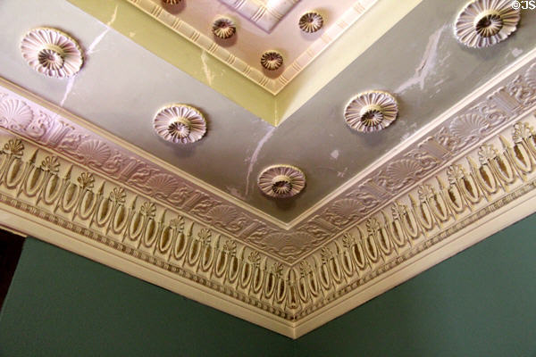 Ceiling decoration in parlor at Holmwood. Glasgow, Scotland.
