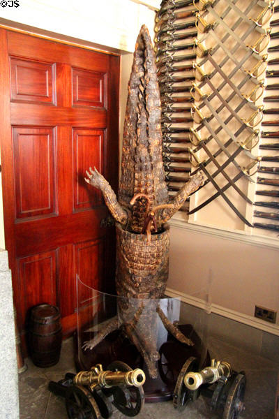 Trophy crocodile used as umbrella & cane stand in Armory at Culzean Castle. Maybole, Scotland.