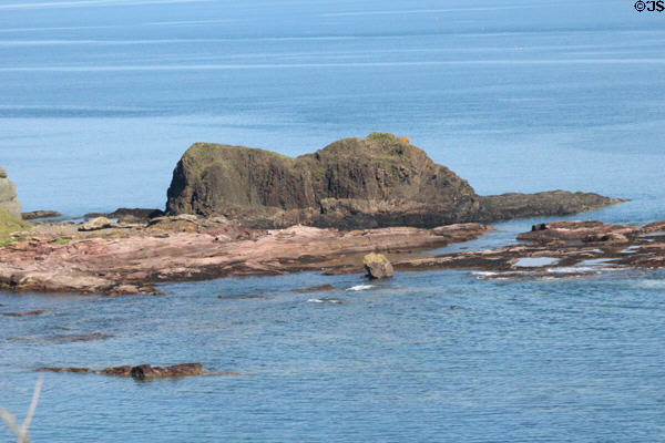 Shoals off Tantallon Castle. Scotland.