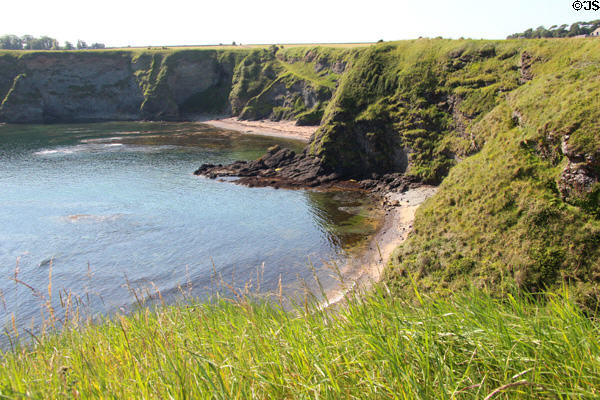 Cliffs seen from Tantallon Castle. Scotland.