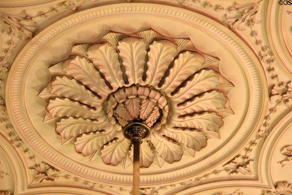 Library ceiling leaf circle over ceiling lamp in Manderston House. Duns, Scotland.