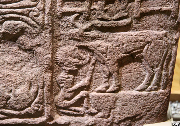 Pictish cross-slab (front figures stone) detail shows pagan man drinking bull's blood at St Vigeans Museum. Arbroath, Scotland.