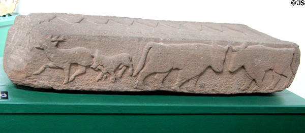 Later Pictish graveslab (#12) with hound biting leg of stag beside two bulls at Meigle Sculptured Stone Museum. Meigle, Scotland.
