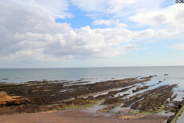 View of rocky shoreline from St Andrews Castle. St Andrews, Scotland.