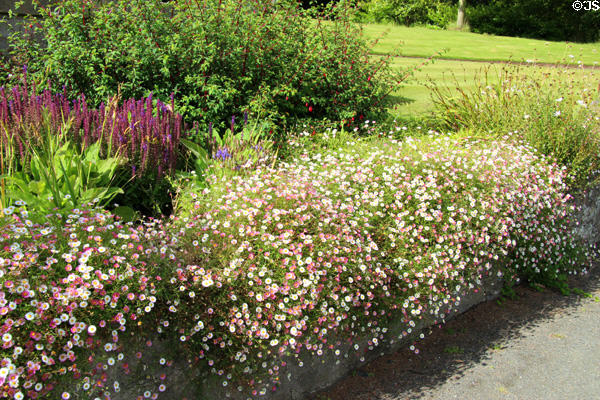 Plantings at Hill of Tarvit Mansion. Cupar, Scotland.