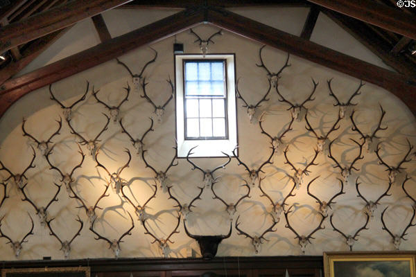 Collection of antlers in Ballroom at Blair Castle. Pitlochry, Scotland.