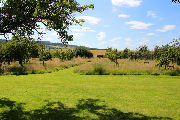 Orchard at Elcho Castle. Perth, Scotland.