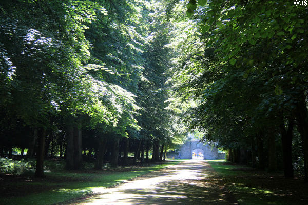 Corridor of trees leading to old palace archway at Scone Palace. Perth, Scotland.