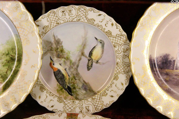 Canadian wood pecker painted by H.M. Proctor on porcelain plate of set given by Canadian Parliament to Countess of Aberdeen at Haddo House. Methlick, Scotland.