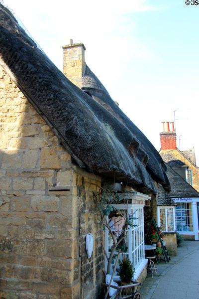 Detail of roof protected by netting on heritage building in town center. Broadway, England.