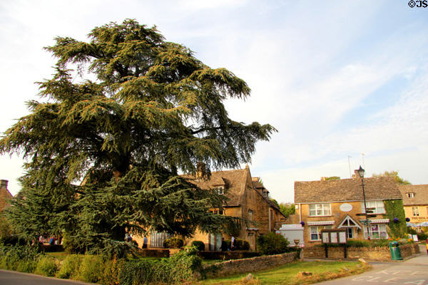 Neighborhood just outside the town center. Bourton-on-the-Water, England.