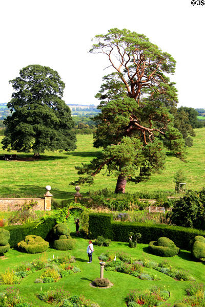 Topiary garden with Chastleton House lawns beyond. Moreton-in-Marsh, England.