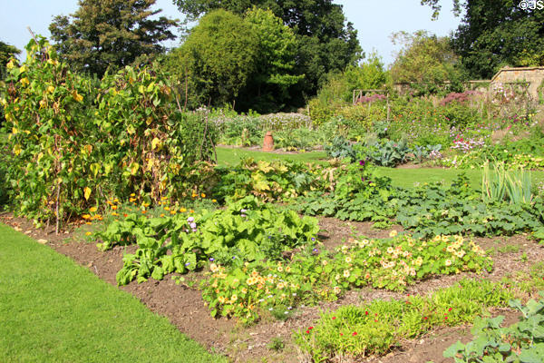 Garden at Chastleton House. Moreton-in-Marsh, England.