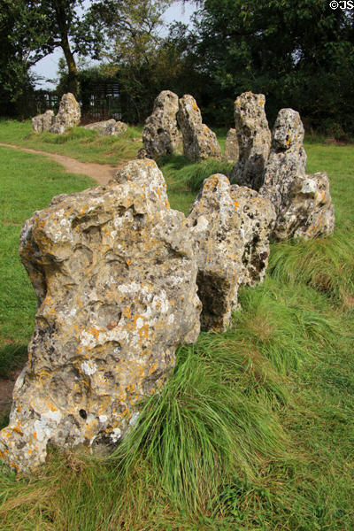 Detail of King's Men Stone Circle, part of Rollright Stones complex. England.